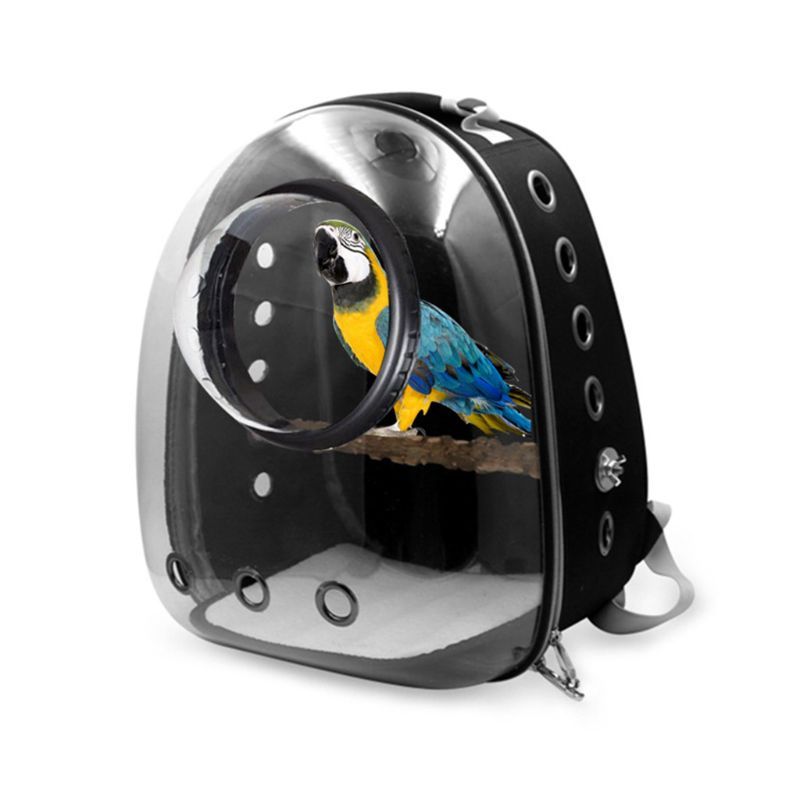 Starling Parrot Outing Portable Bag Multifunctional