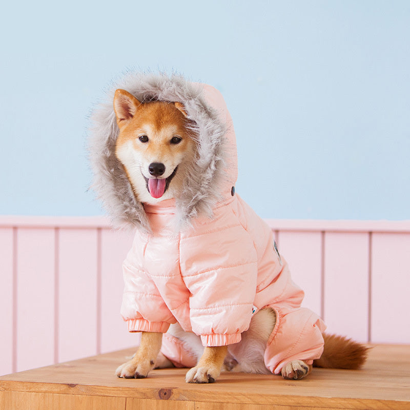 Pawfect Couture