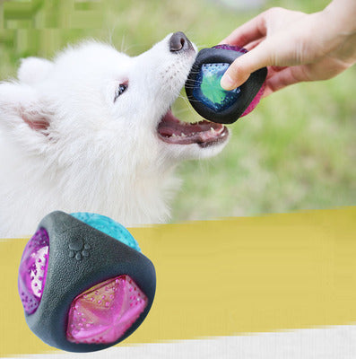 Durable Interactive Dog Toy Ball