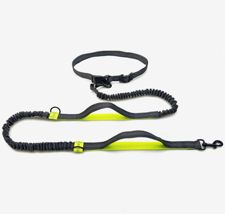 Double Elastic Reflective Running Dog Leash